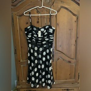 NWT Ann Taylor Polka Dot Dress (8)